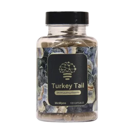 Mushromms Extracts - Turkey Tail - 120 capsules